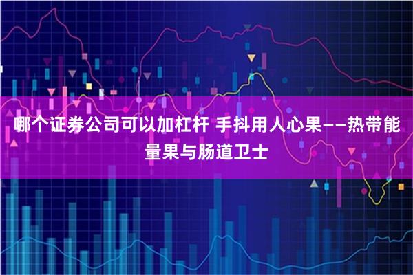 哪个证券公司可以加杠杆 手抖用人心果——热带能量果与肠道卫士